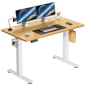 Electric Sit/Stand Desk