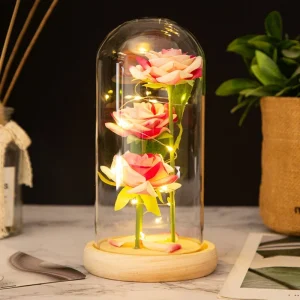 Rose in Glass Dome with Lights