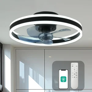 Ceiling Light with Fan and Remote Control.